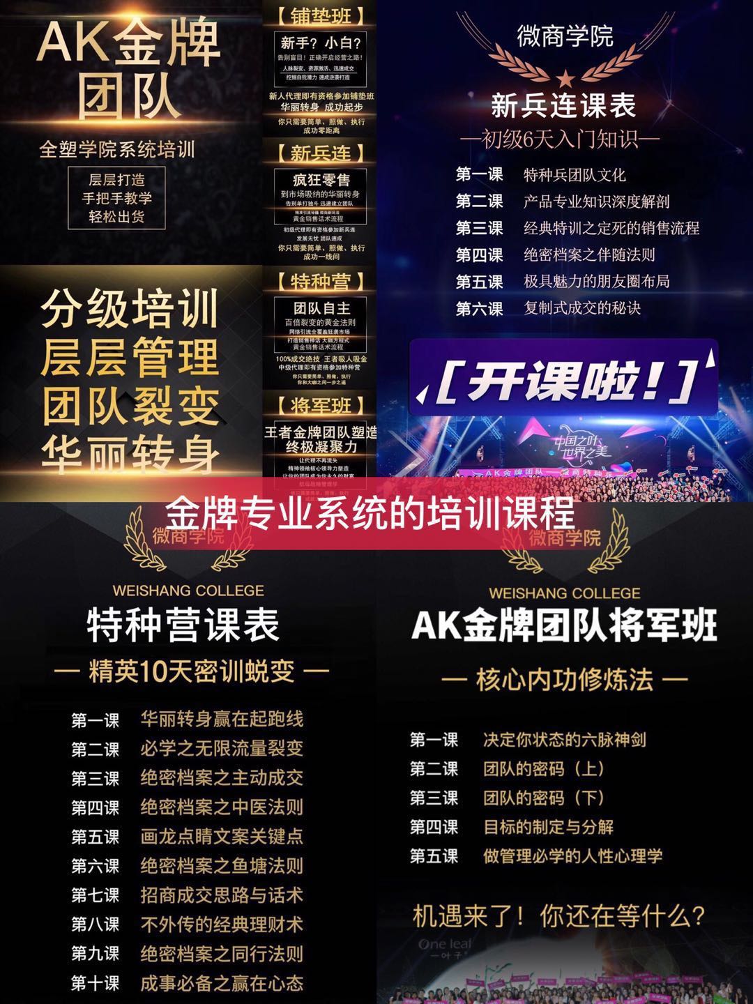 一叶子微商,多品类微商领导者!