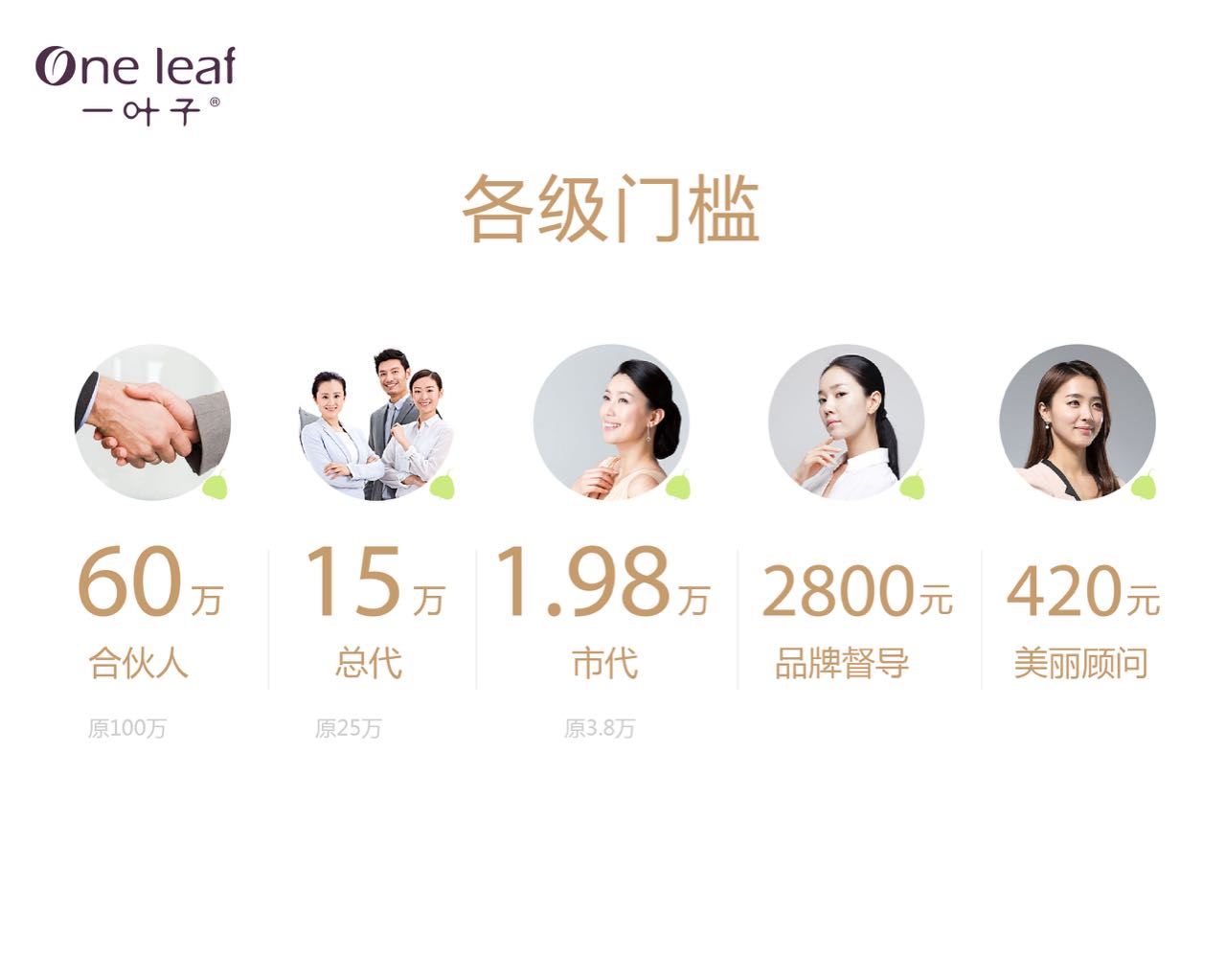 一叶子面膜怎么做代理赚钱?一叶子面膜代理好做吗?