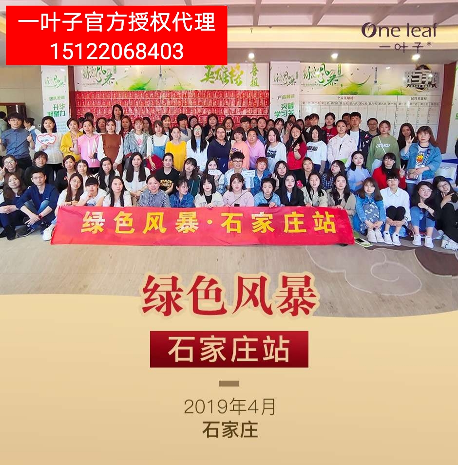 一叶子怎么代理？一叶子有培训吗？是免费的吗？
