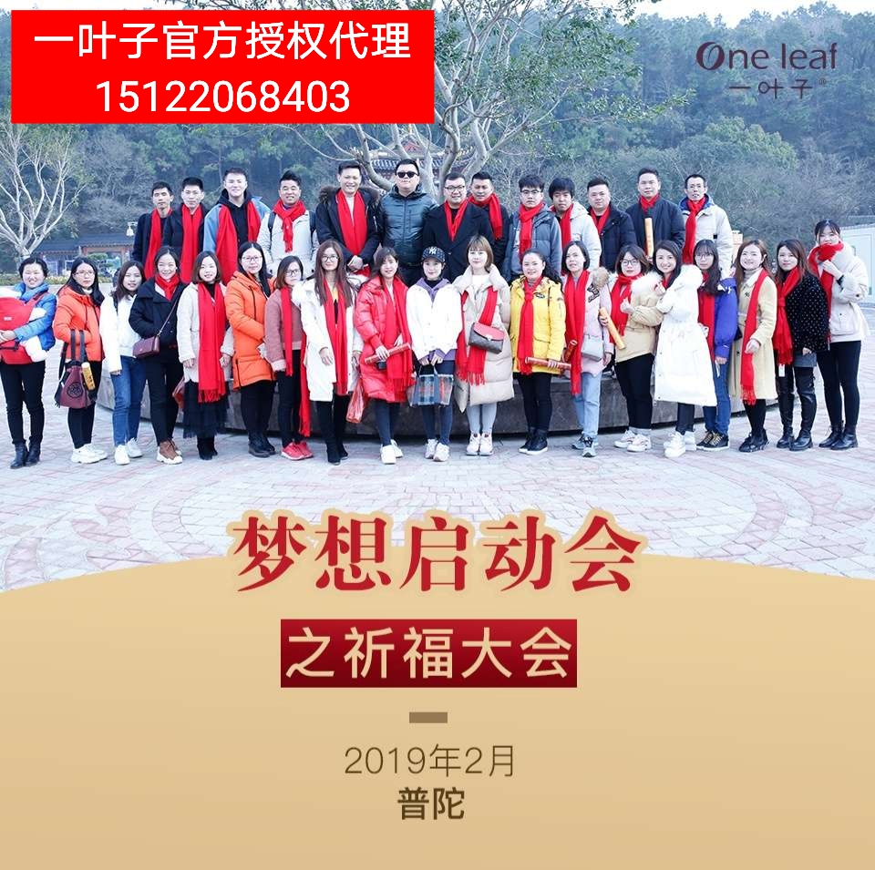 一叶子怎么代理？一叶子有培训吗？是免费的吗？