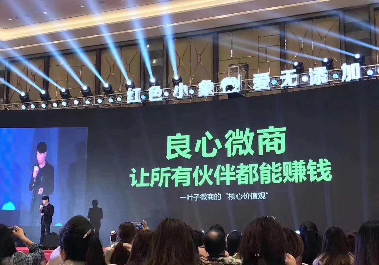 微商怎么选?微商怎么做赚钱?一叶子微商好做吗?一叶子代理官网