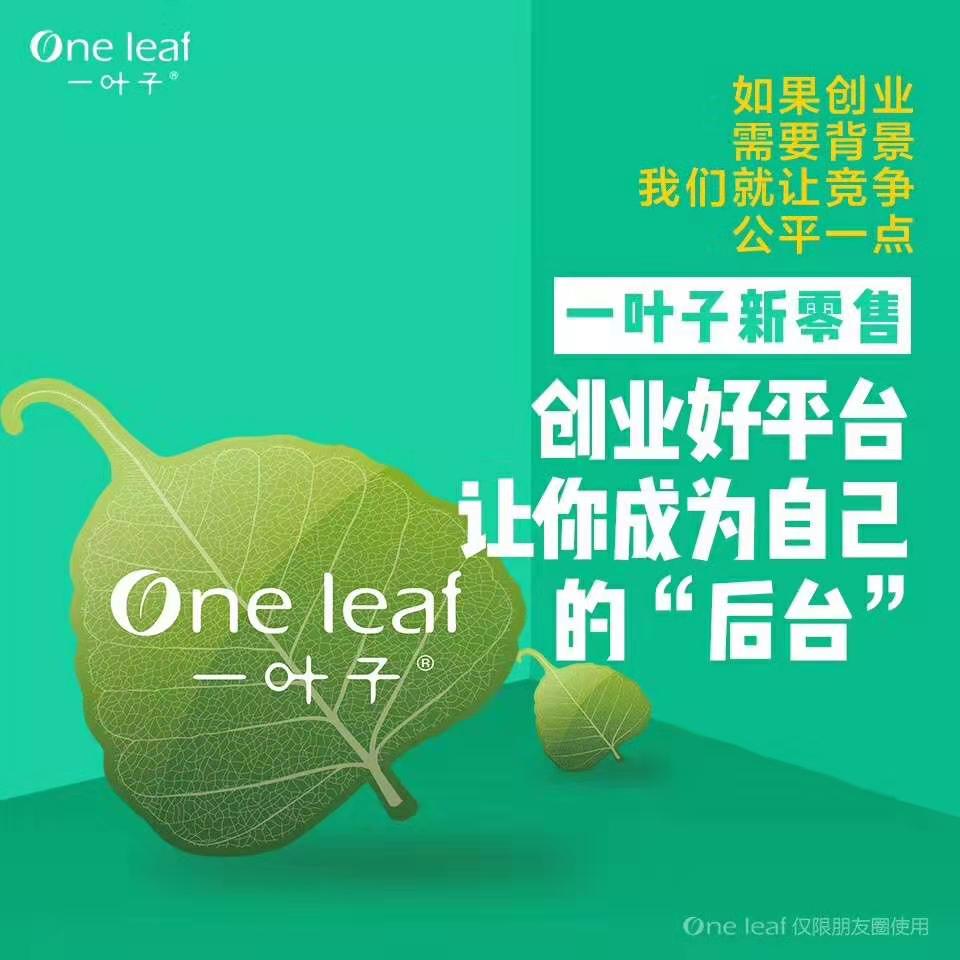 微商怎么选?微商怎么做赚钱?一叶子微商好做吗?一叶子代理官网