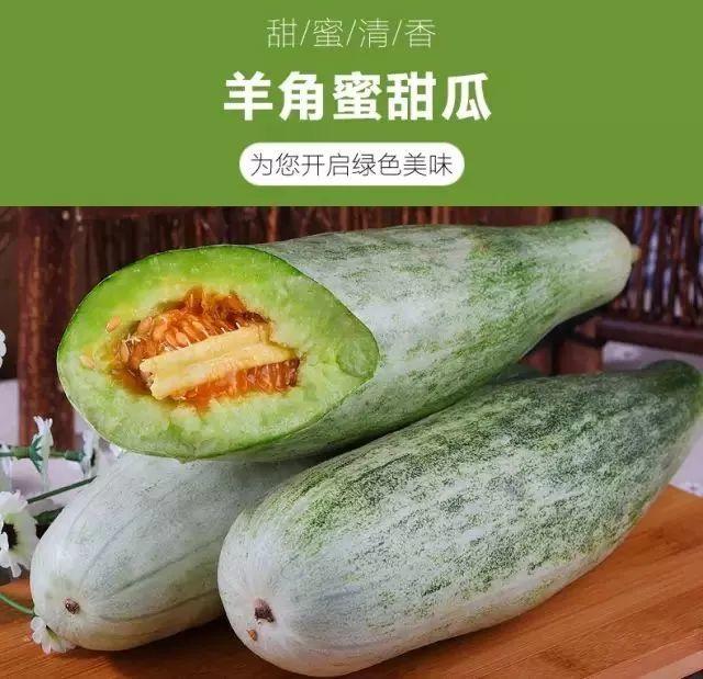 网红甜瓜羊角蜜,甜蜜来袭 网红甜瓜羊角蜜,甜蜜来袭