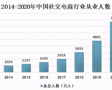 2020年中国社交电商发展业态特征：“飞速发展”与“蒙眼狂奔”
