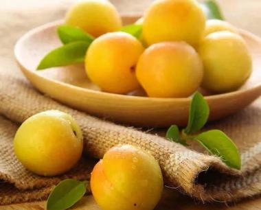 新疆轮台小白杏熟，真正的好吃，让人渴望分享