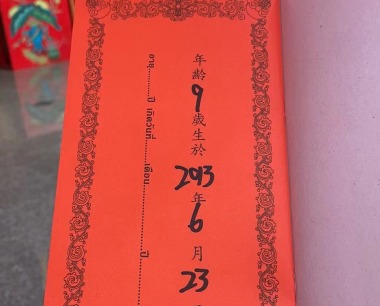 陈佳桐，女，2013.06.23，蛇