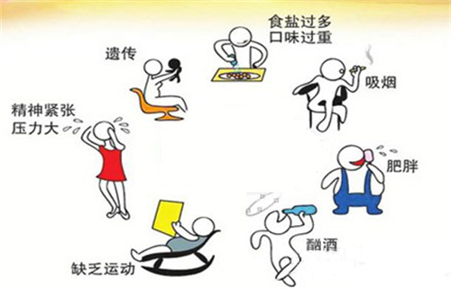 选贵不如选对!三生御坊堂海狗油究竟有何独特魅力？