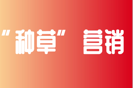 品牌如何种草？